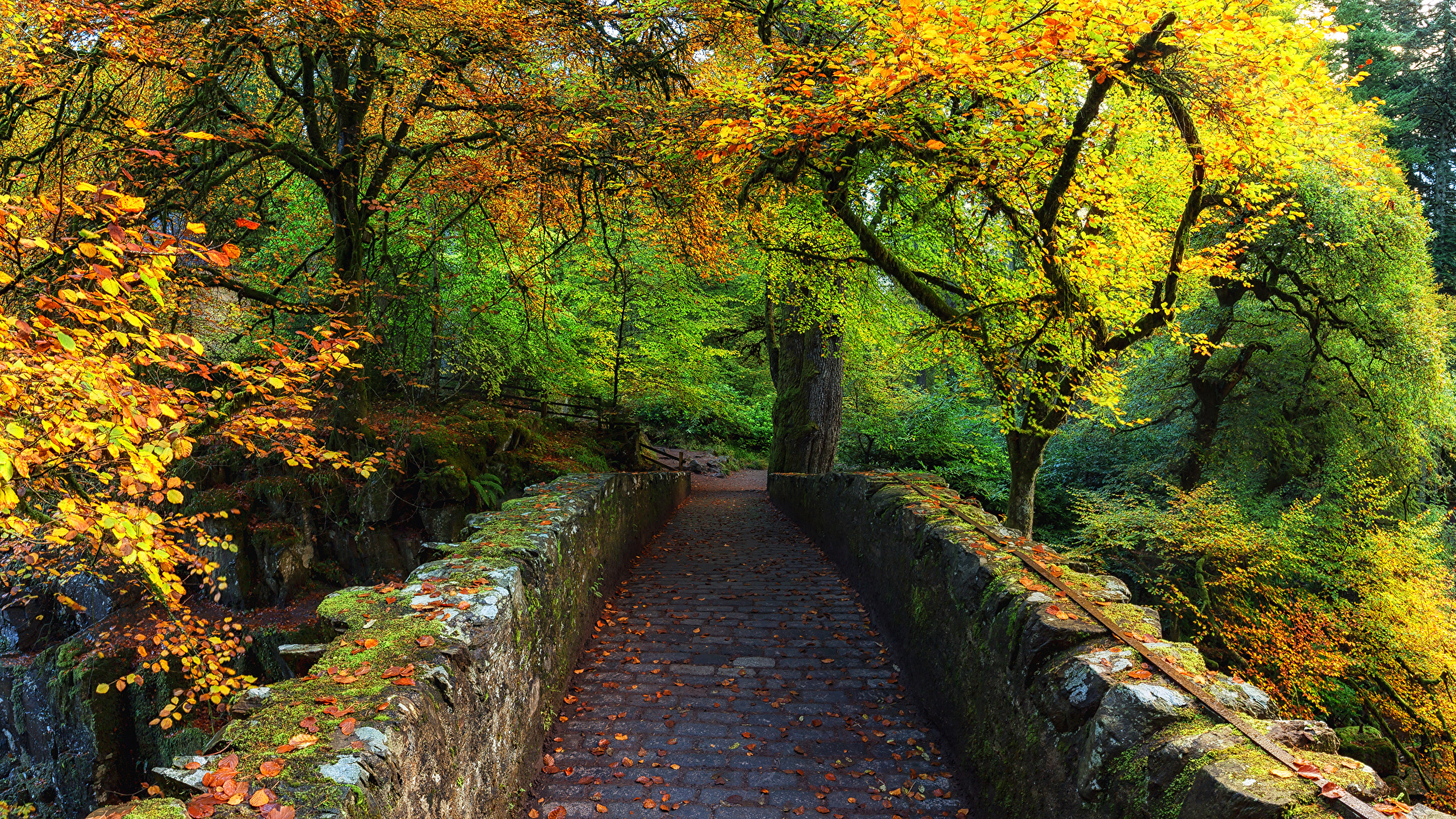 Пертшир, Шотландия осенью