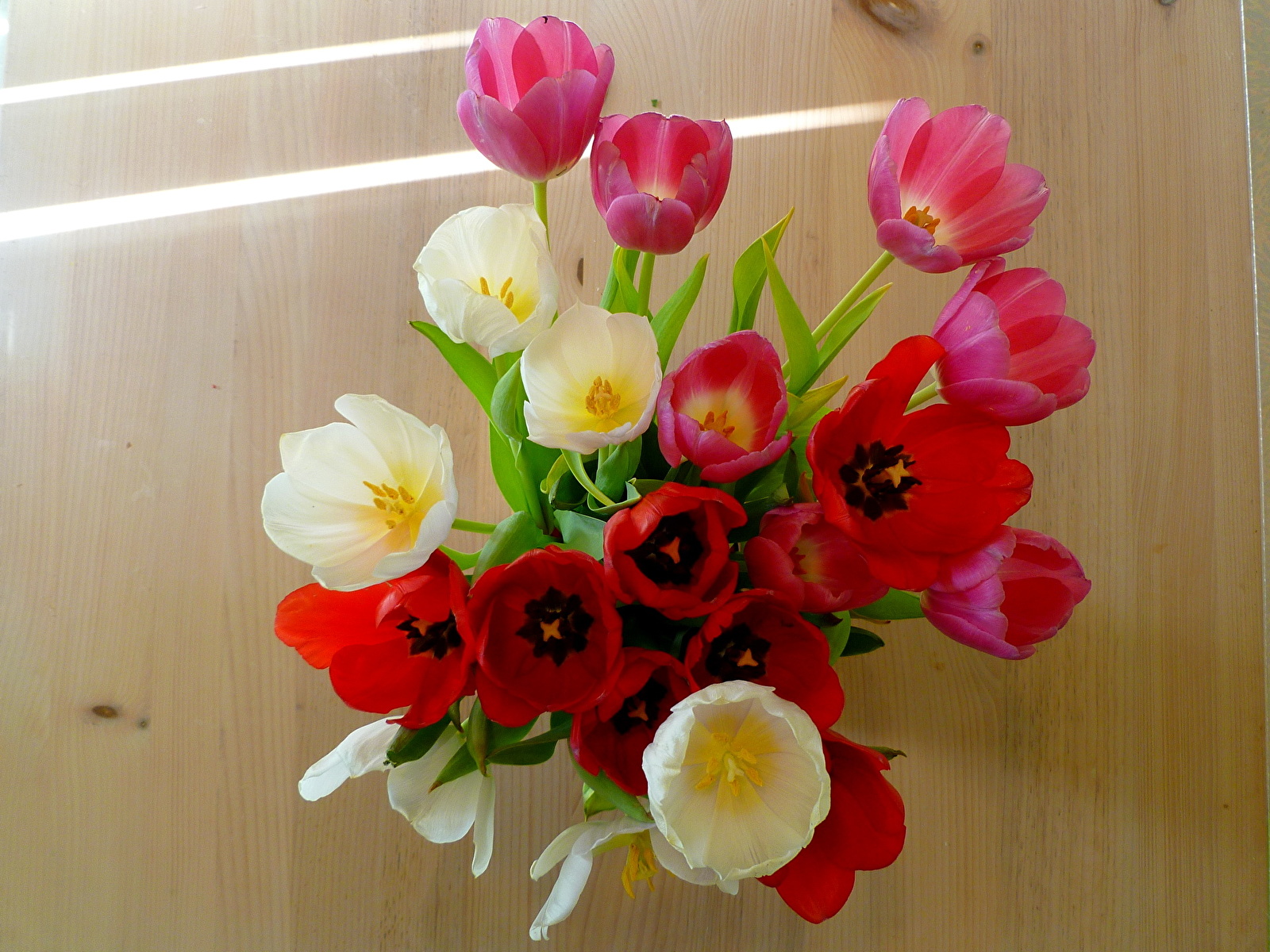 Цветы дома на 8 марта