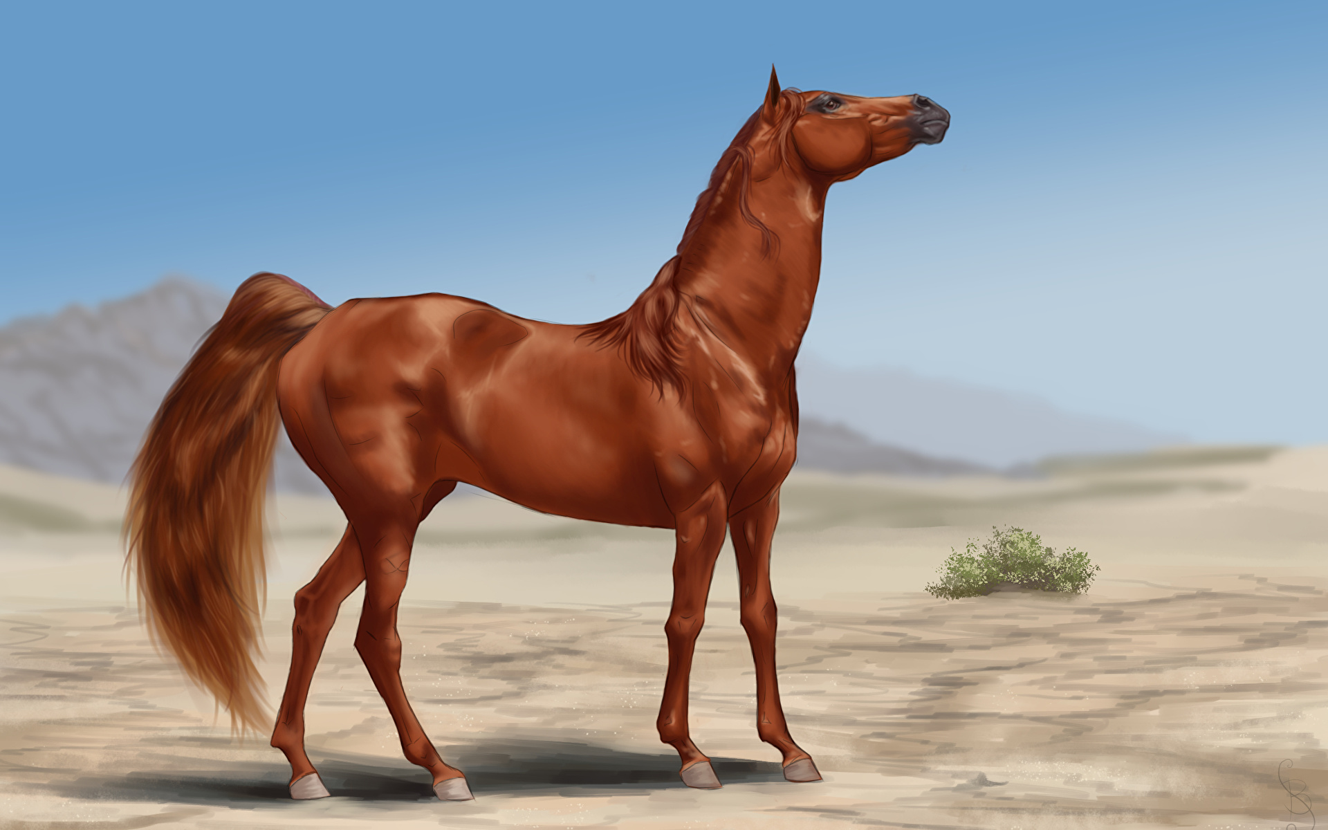 Фото Нарисованной Лошади В Хорошем Качестве 1080