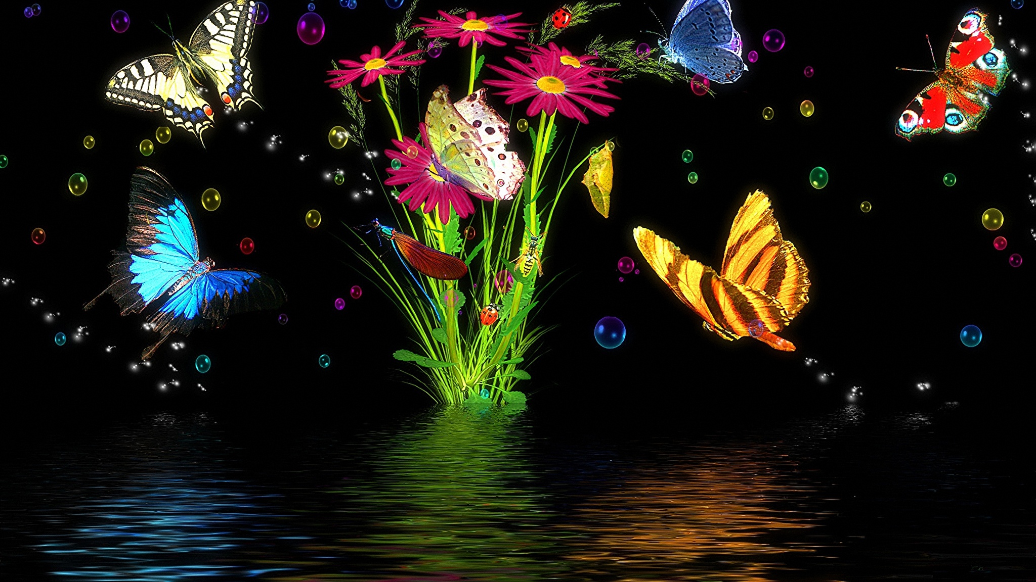 Бабочки красивые живые