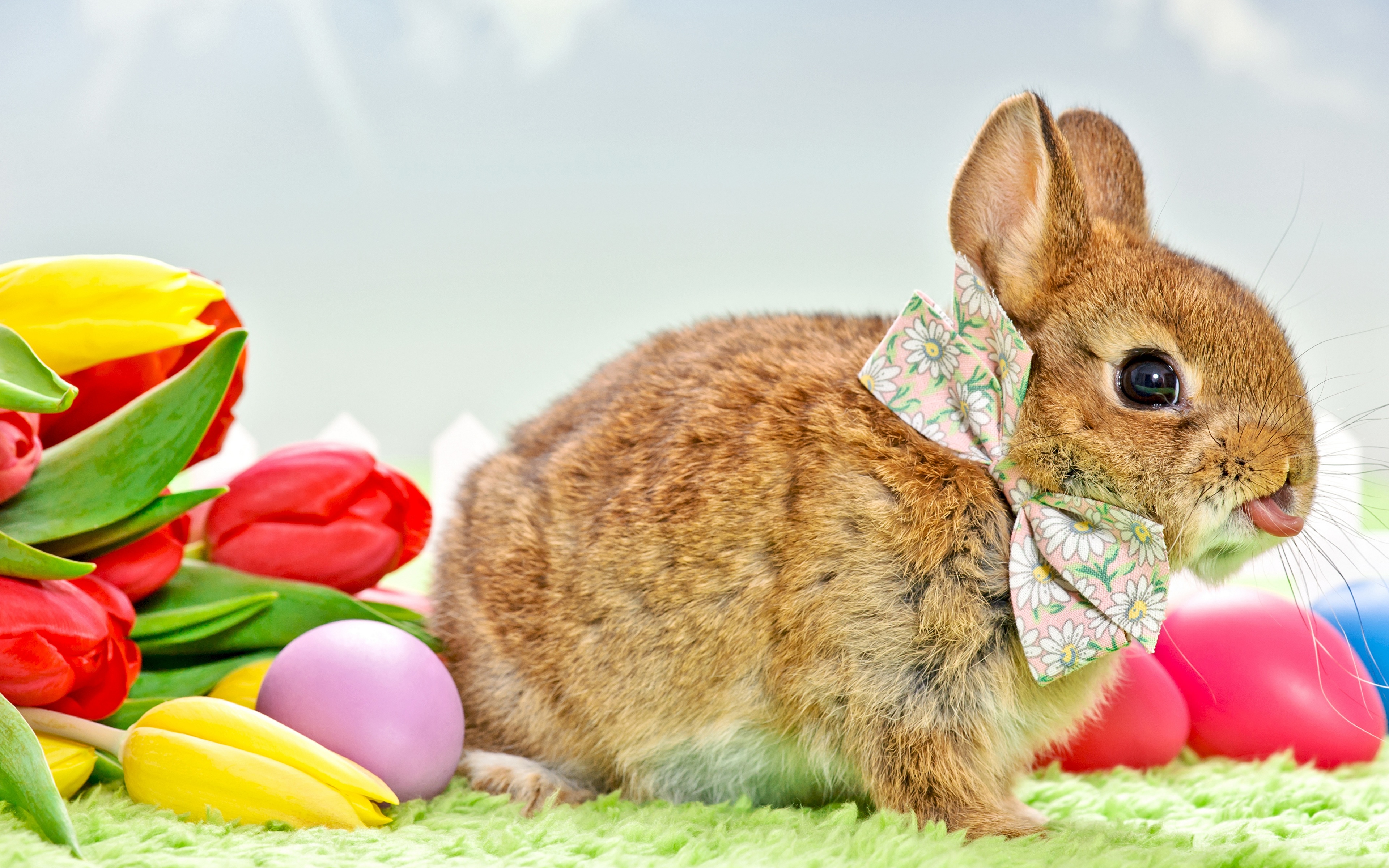 Пасхальный кролик фото