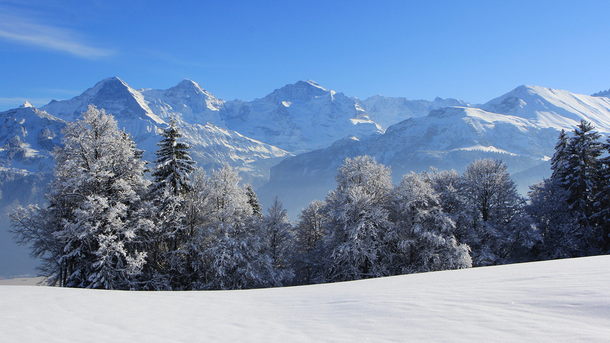 Швейцария Альпы лес зима