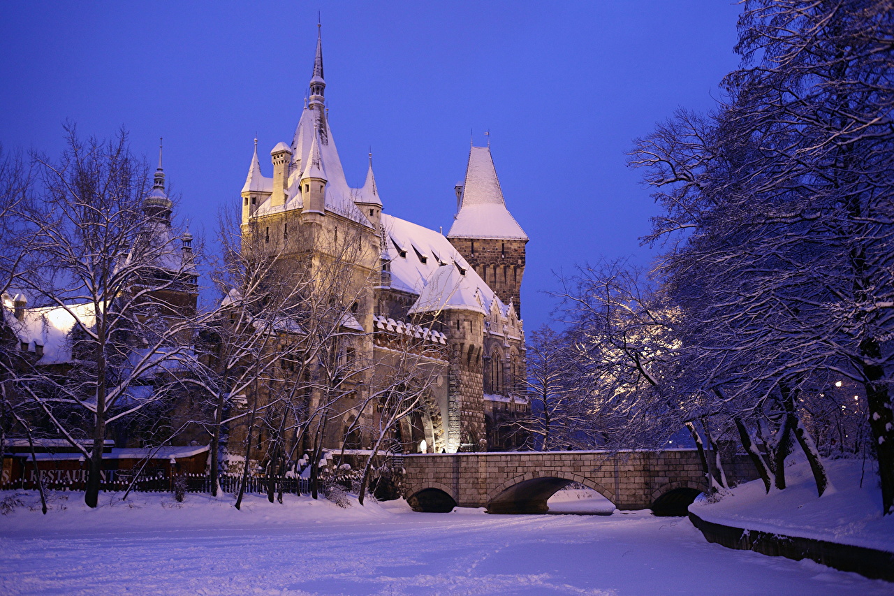 Замки Венгрия Зима Vajdahunyad Budapest Снег Города