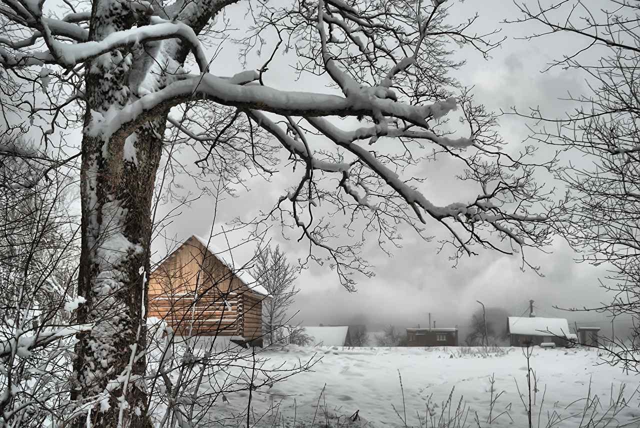 Эстетика зимы в деревне
