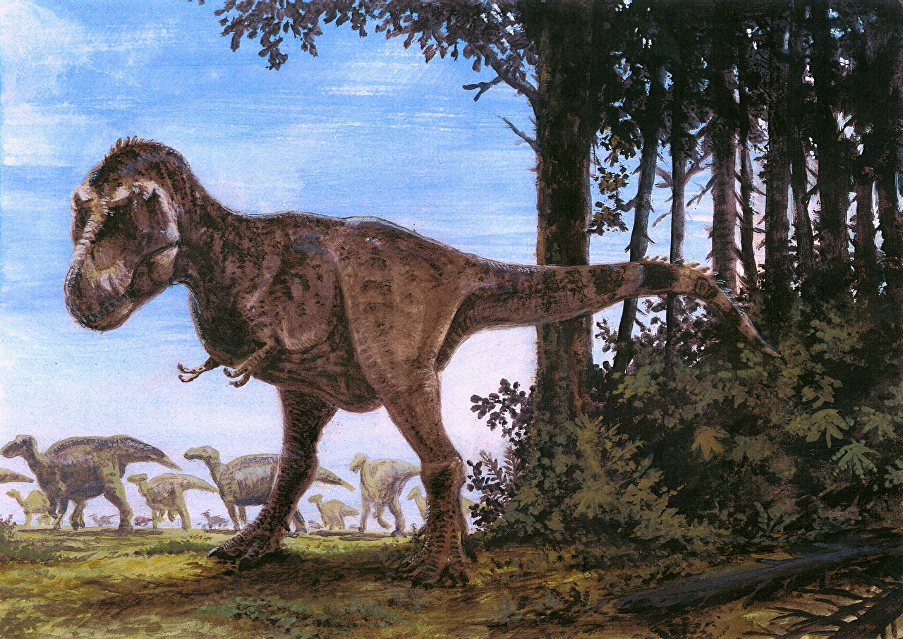 Тираннозавр меловой период