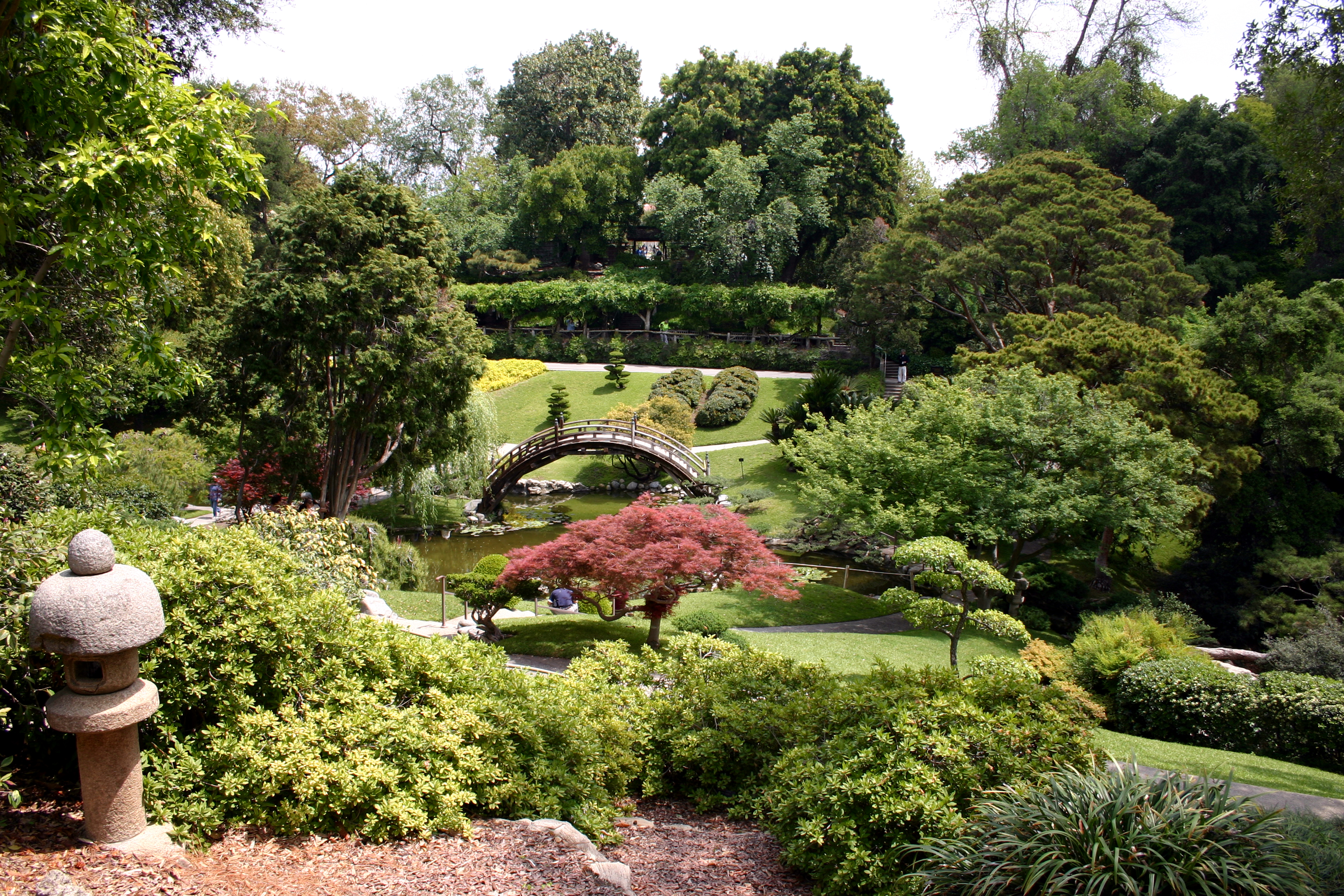 ботанический сад фото 2023