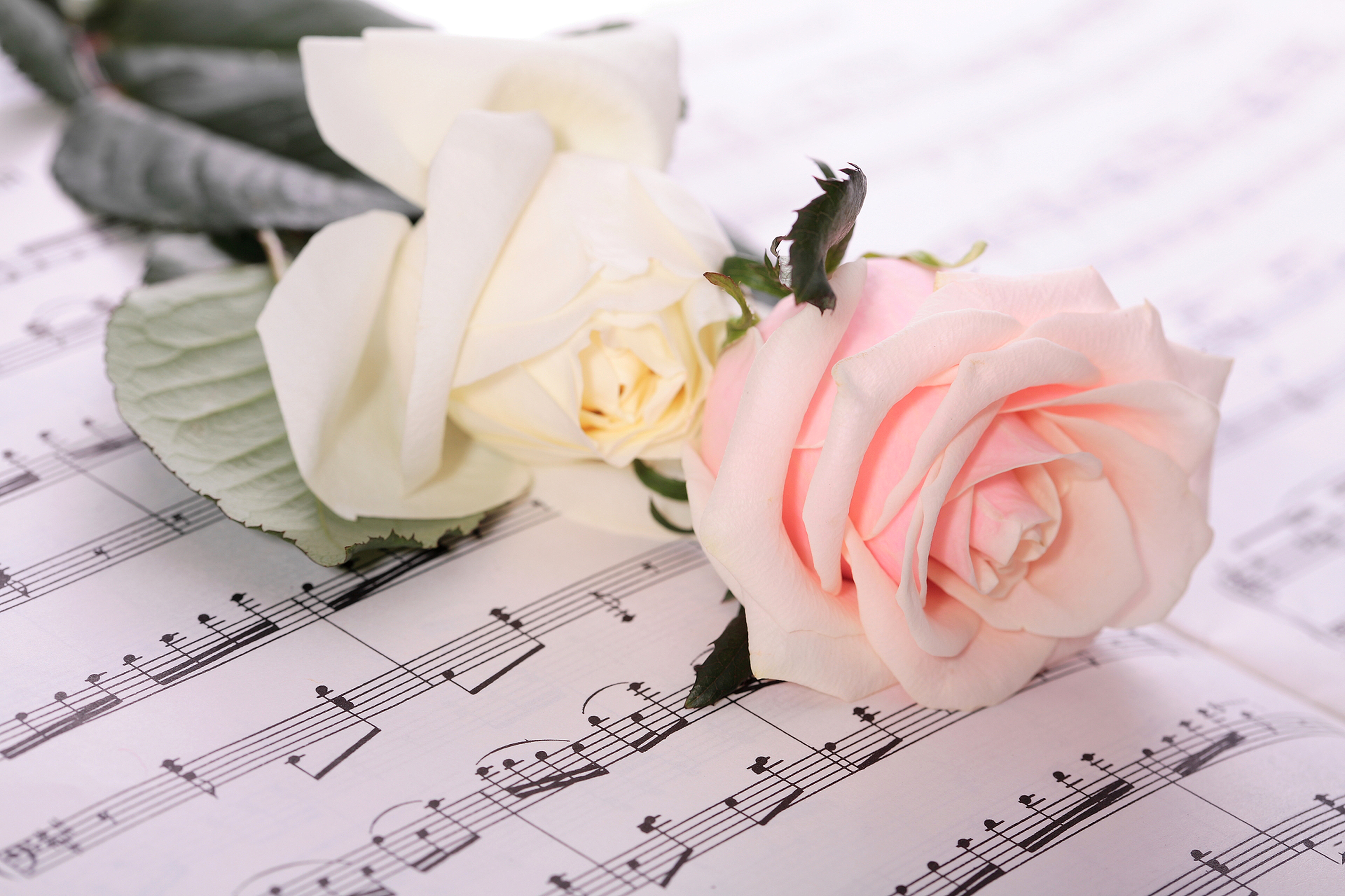 Открытки с роялем и цветами