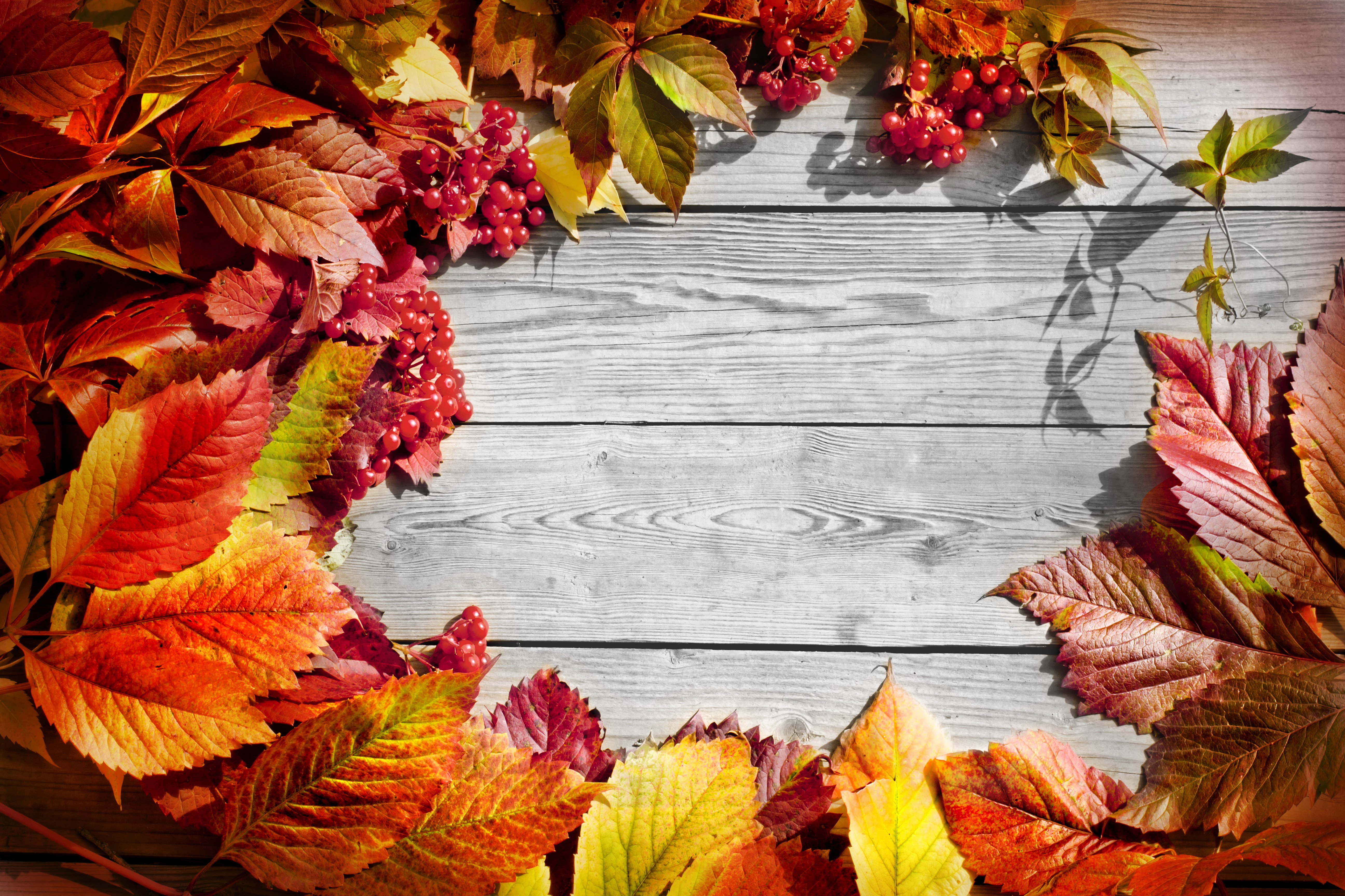 Фоны для фотографий с осенней листвой