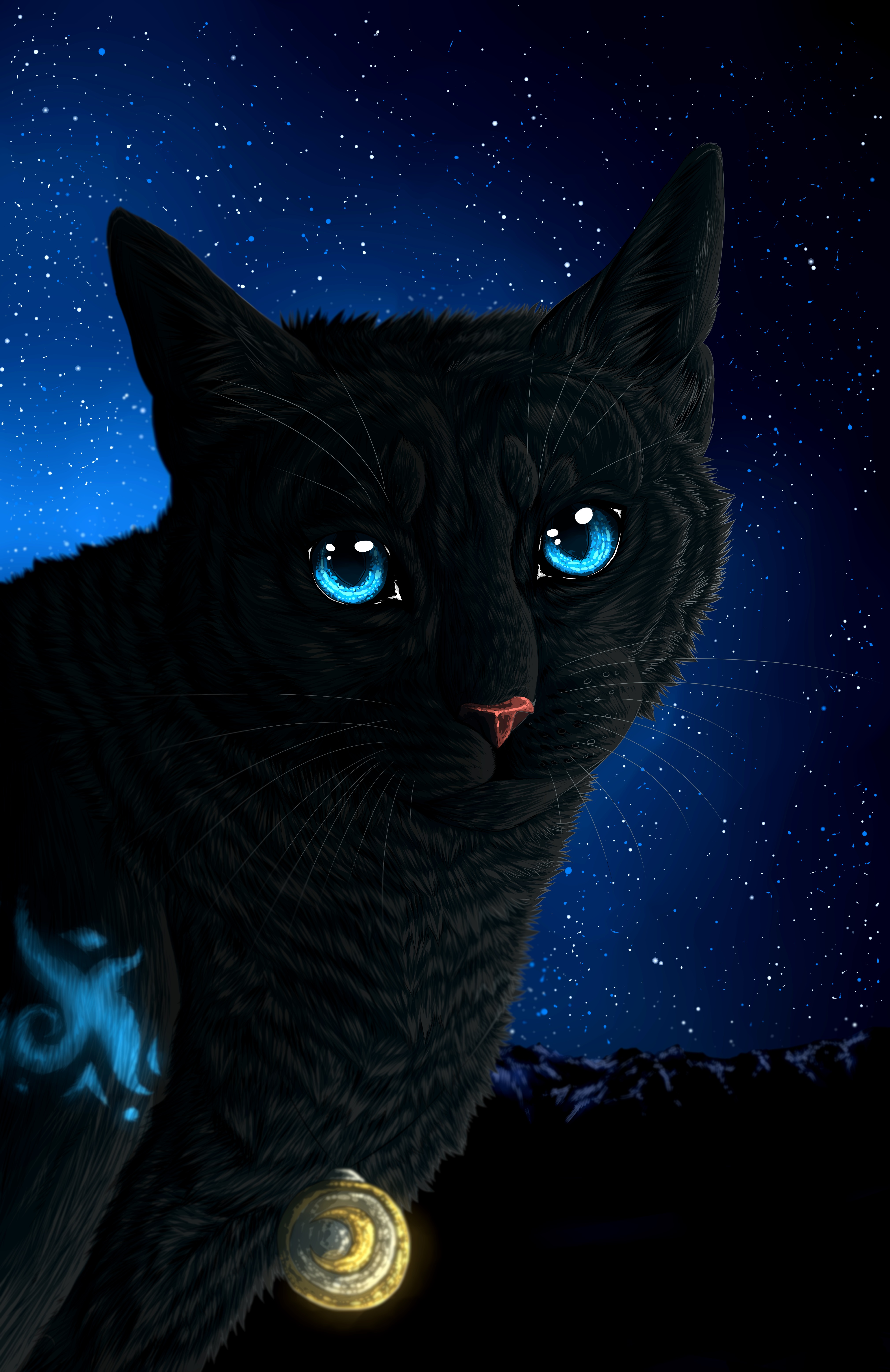 картинки котиков ночью