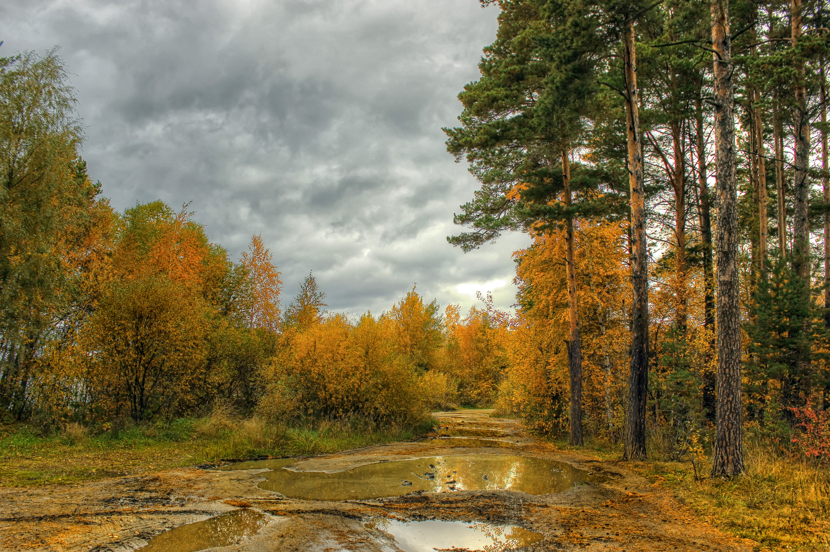 Сосновый Бор Золотая осень река