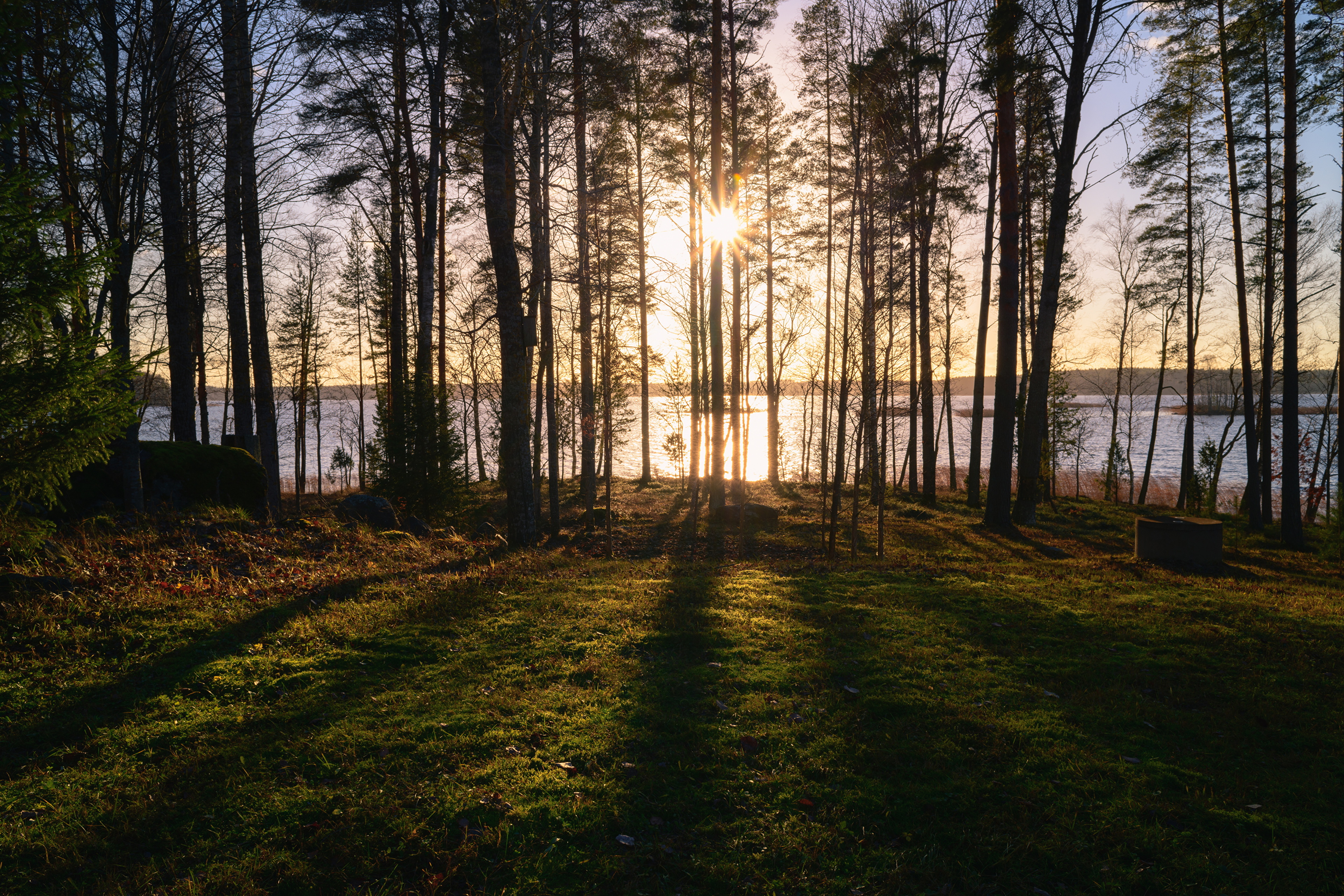 Лесное озеро Финляндия