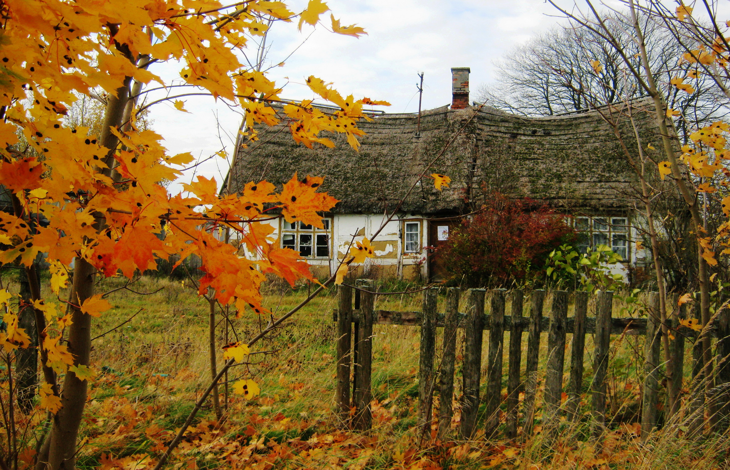Сельский домик осенью