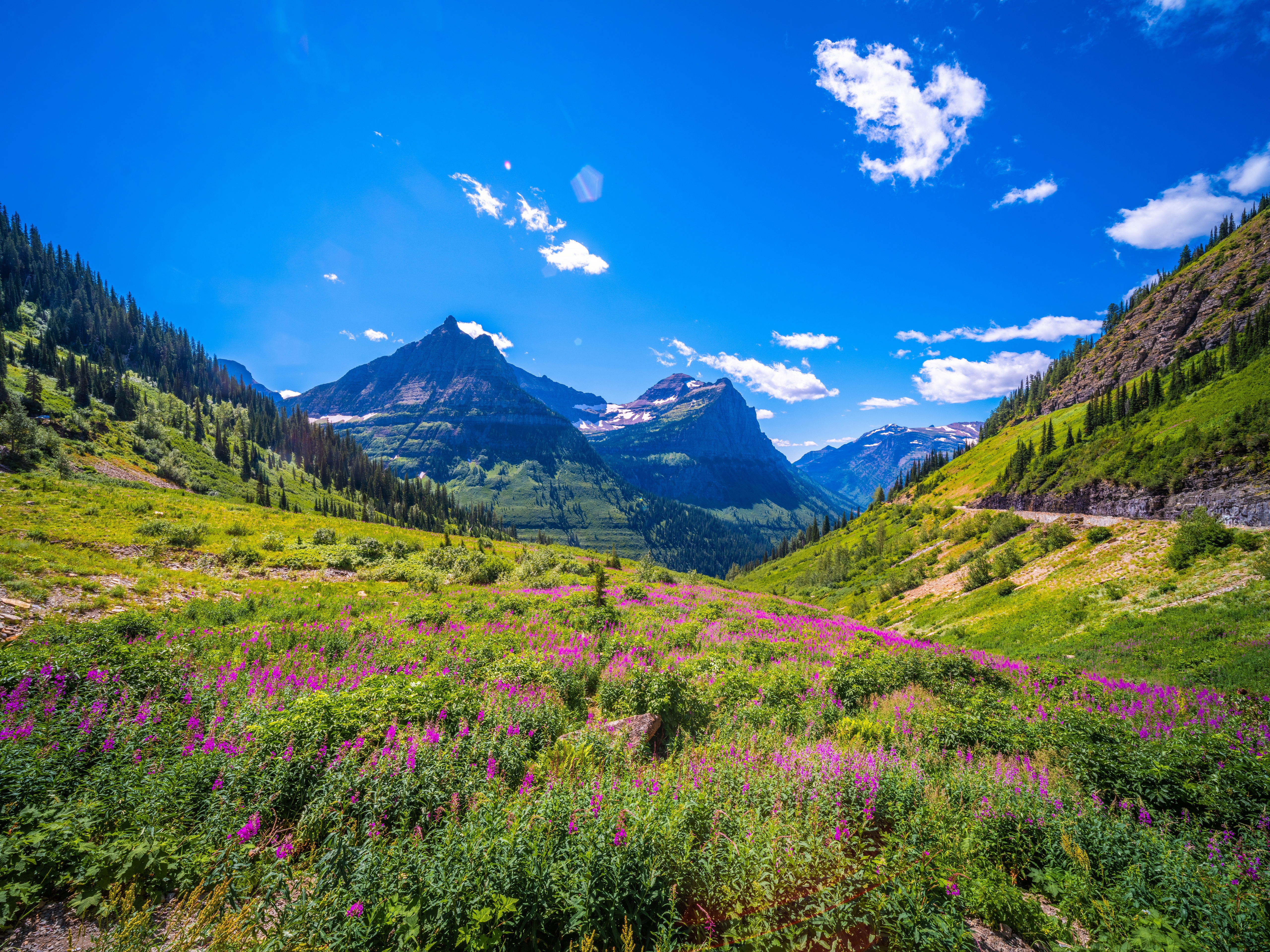 Альпийские Луга Франции+цветы+горы