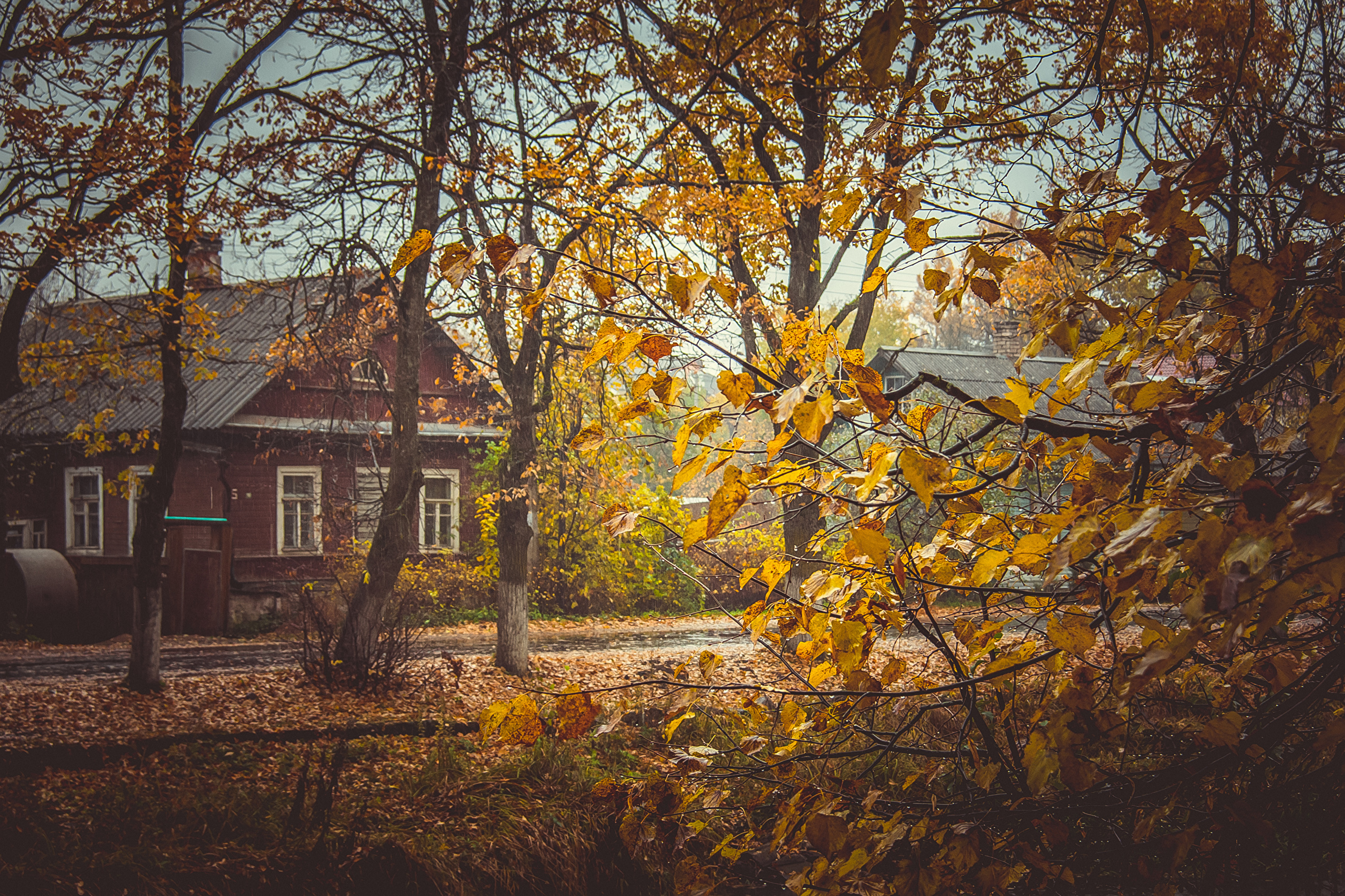 Осень Эстетика деревня