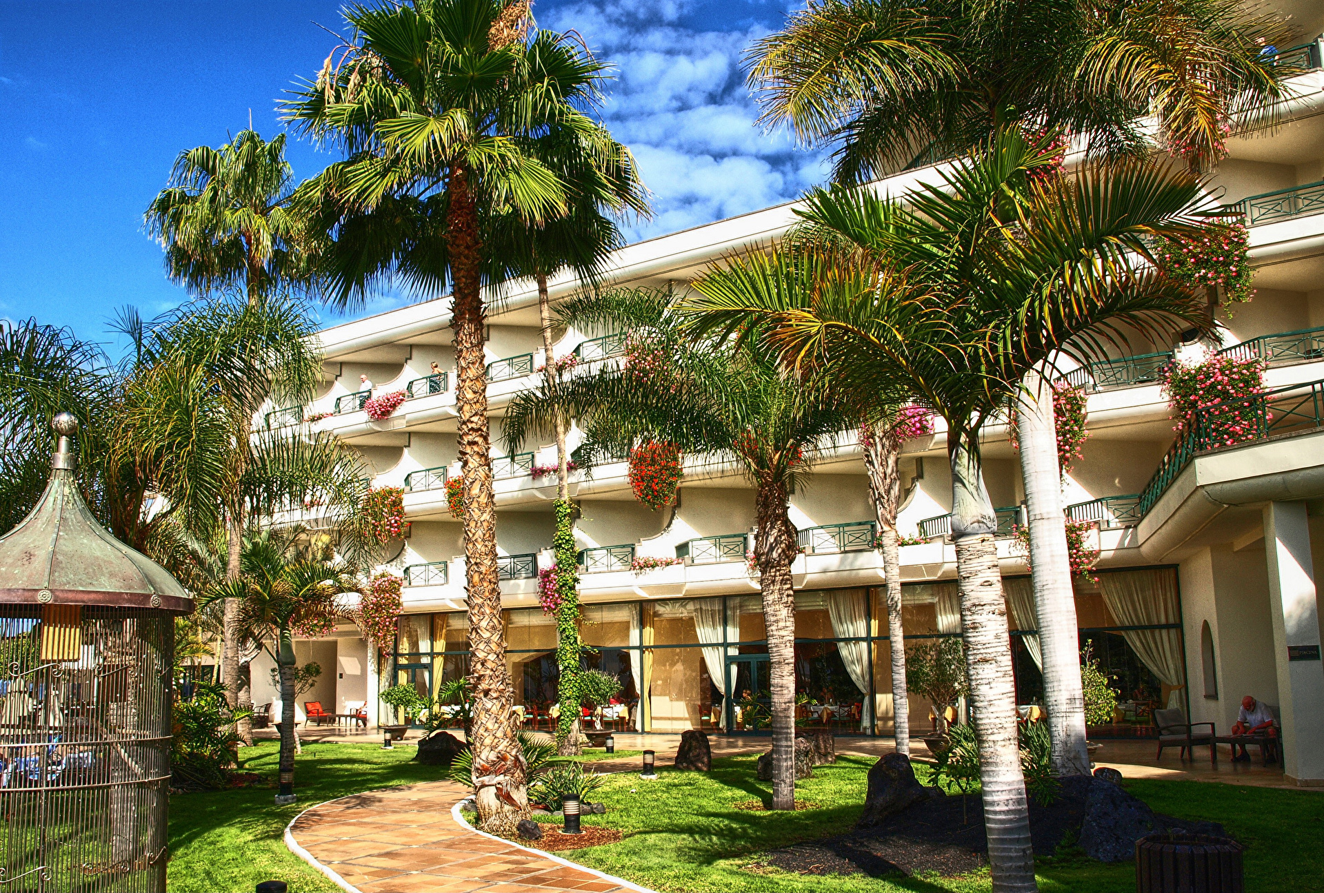 отель пальмы фото