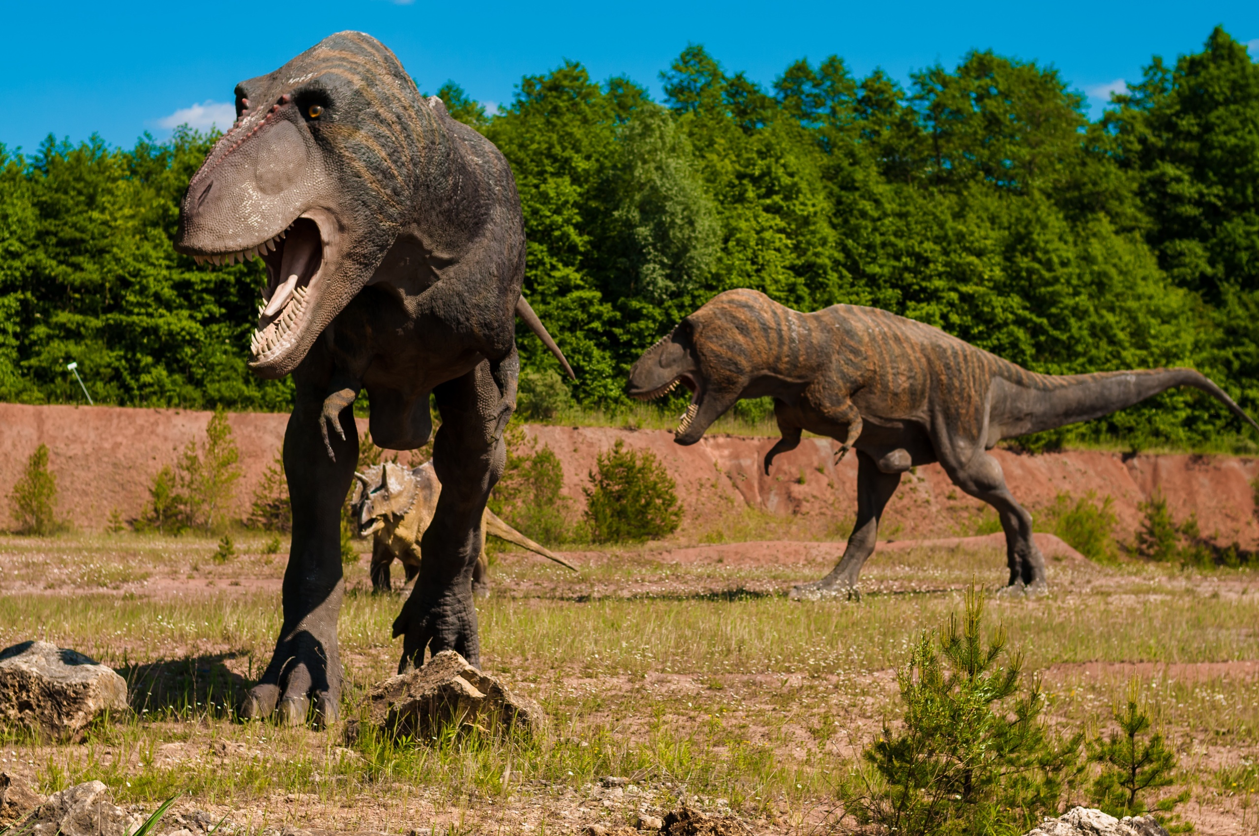 Мир Динозавров Фото