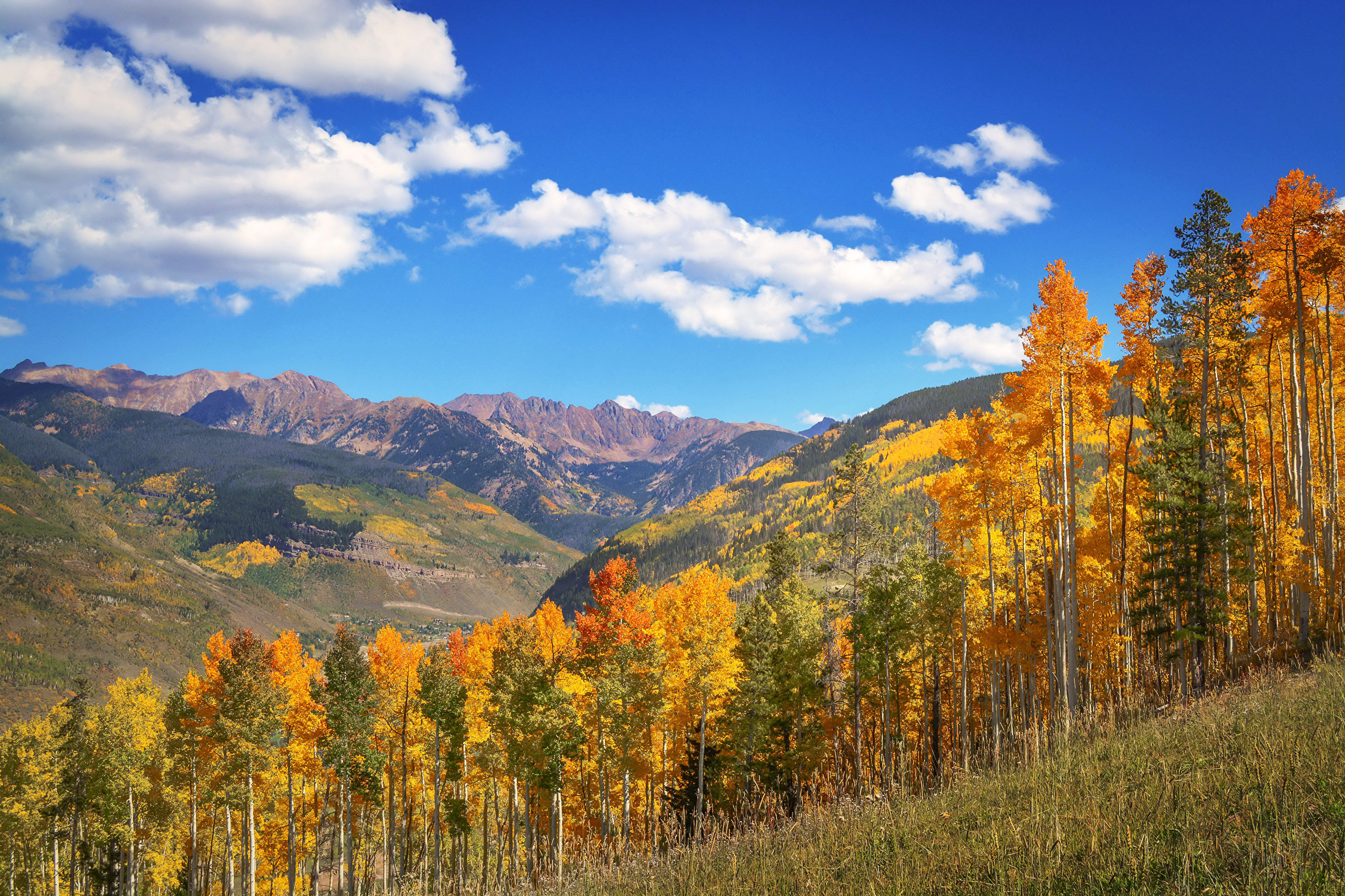Колорадо леса осенью