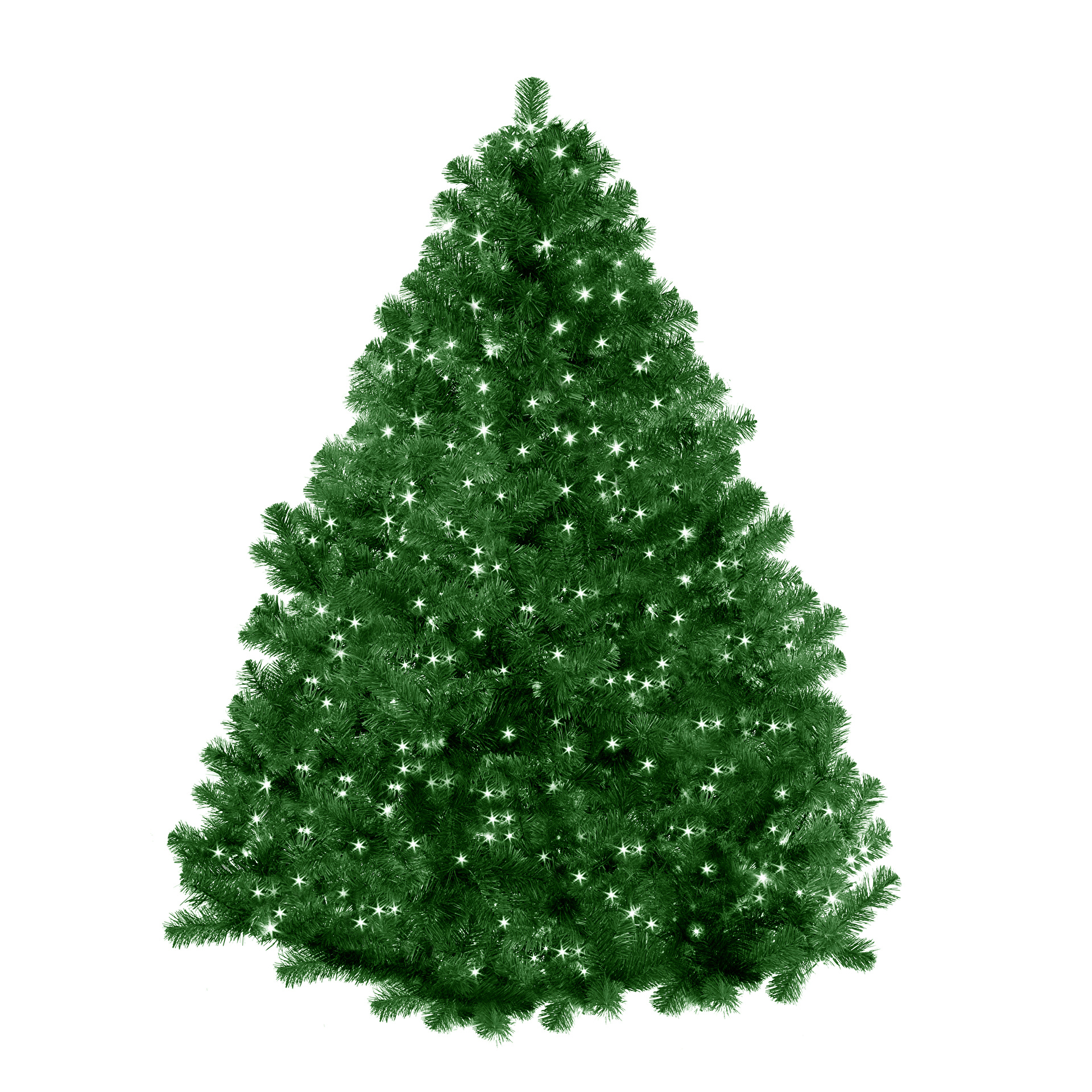 Зеленая елка