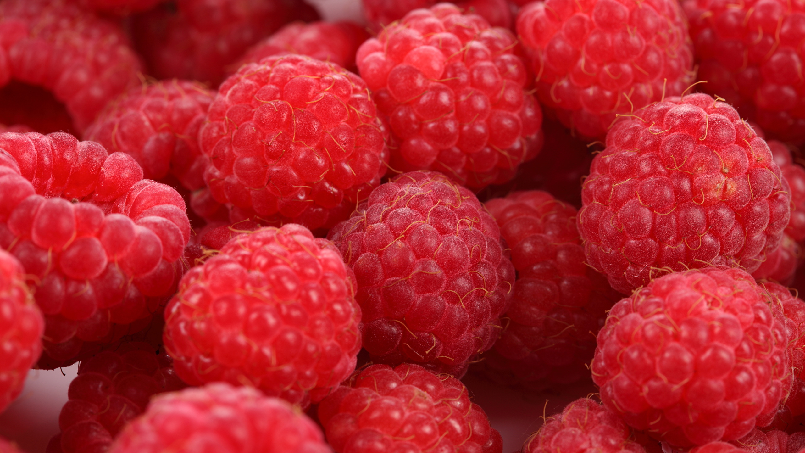 еда малина food raspberry без смс