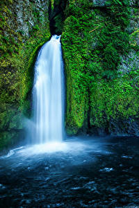 Картинка США Водопады Мха Скала Wahclella Falls Oregon