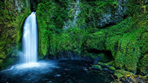 Картинка США Водопады Мха Скала Wahclella Falls Oregon