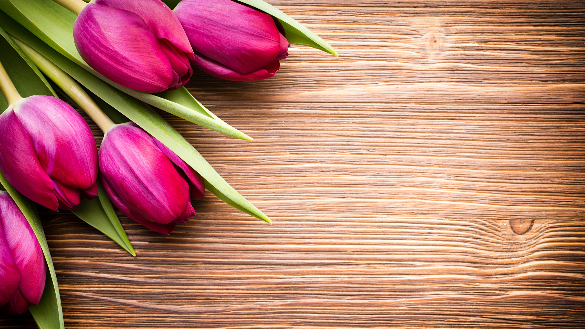тюльпаны на деревянном столе