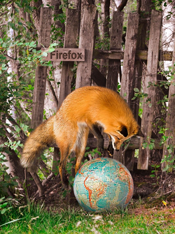 Foxes_Internet_Firefox_Globe_Jump_538349