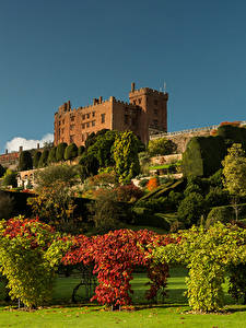 Картинки Великобритания Парк Дизайн Кусты Газоне Дерева Уэльс Powis Castle Garden Природа