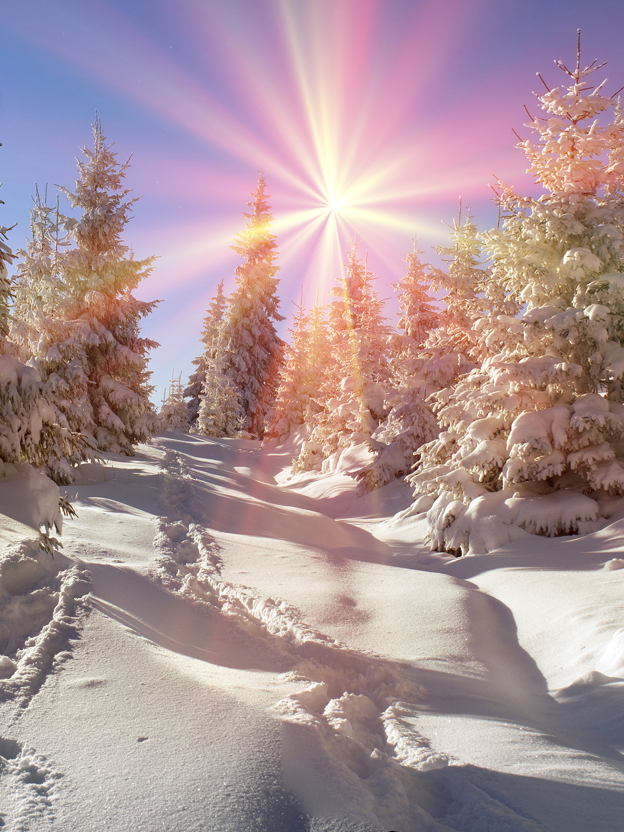 Красивое солнце зима. Зима солнце. Зимнее утро. Красивая зима. Солнечный зимний день.