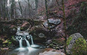 Обои Люксембург Река Водопады Камень Мост Мха Schiessentumpel Cascade Природа