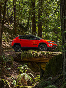 Фотография Джип Красный Сбоку 2017 Compass Trailhawk