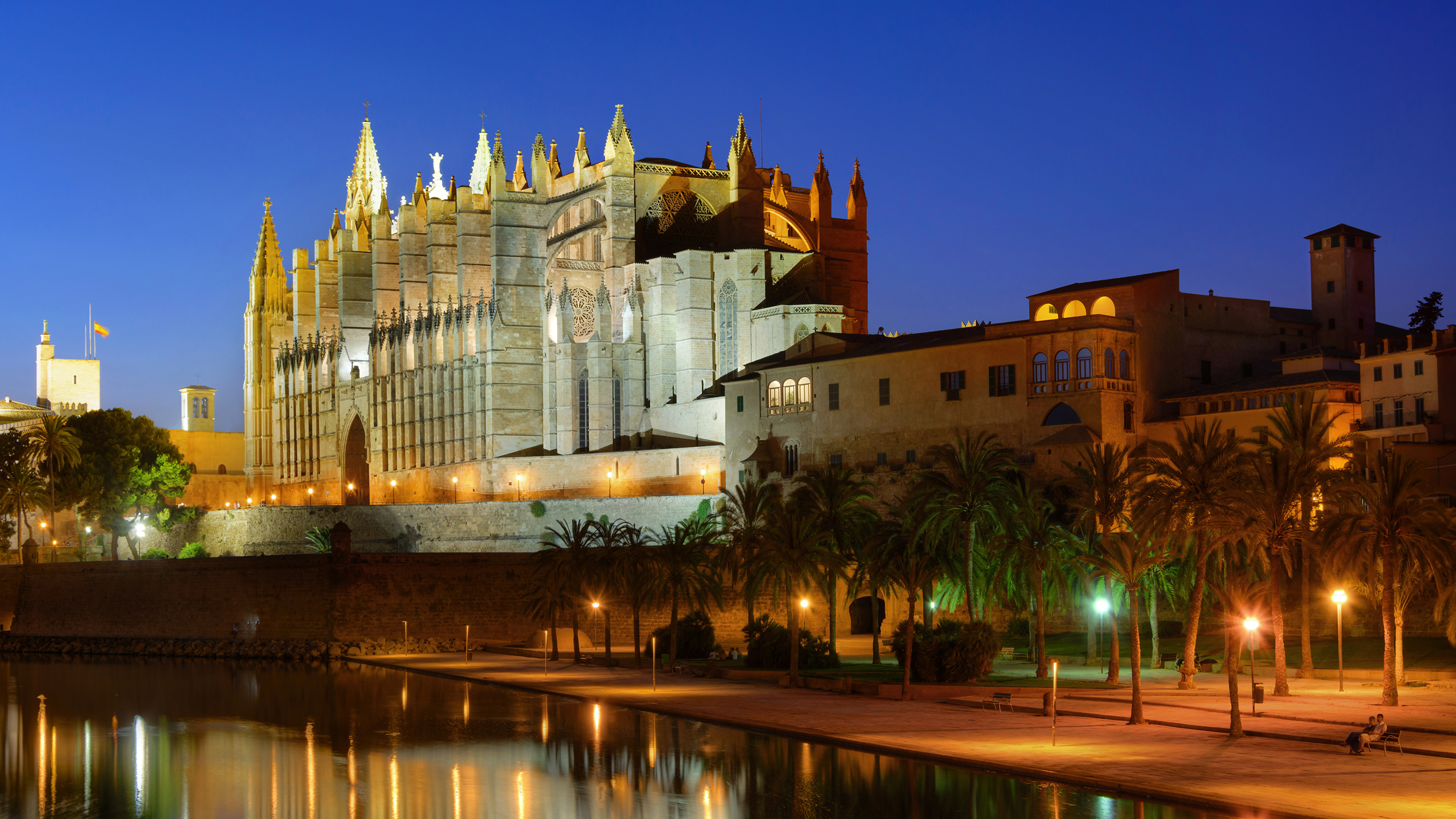 Пальмский собор Пальма-де-Майорка Испания ночь огни бесплатно