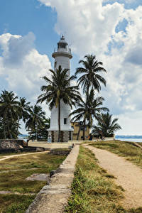 Картинка Тропики Шри-Ланка Маяки Берег Пальма Облако Galle