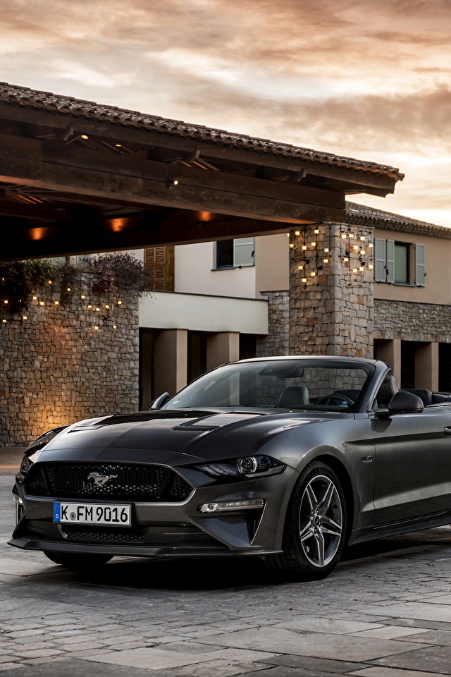 Ford Mustang 2018 Grey