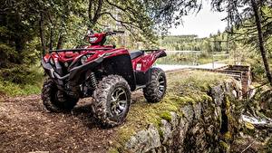 Фото ATV 2017 Yamaha Grizzly 700 EPS  Limited Edition