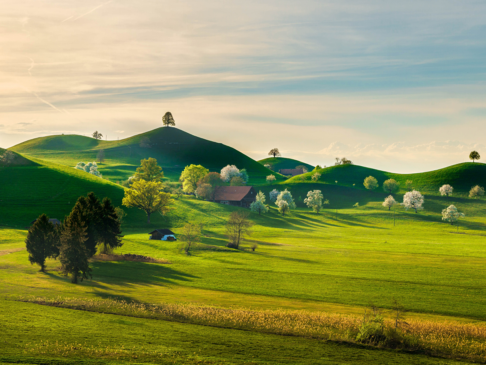 Beautiful hill. Азорские острова. Швейцария холмы. Природа холмы. Сказочное поле.