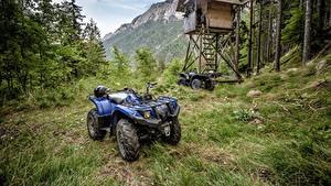 Картинки ATV Трава 2015-17 Yamaha Grizzly 450 EPS