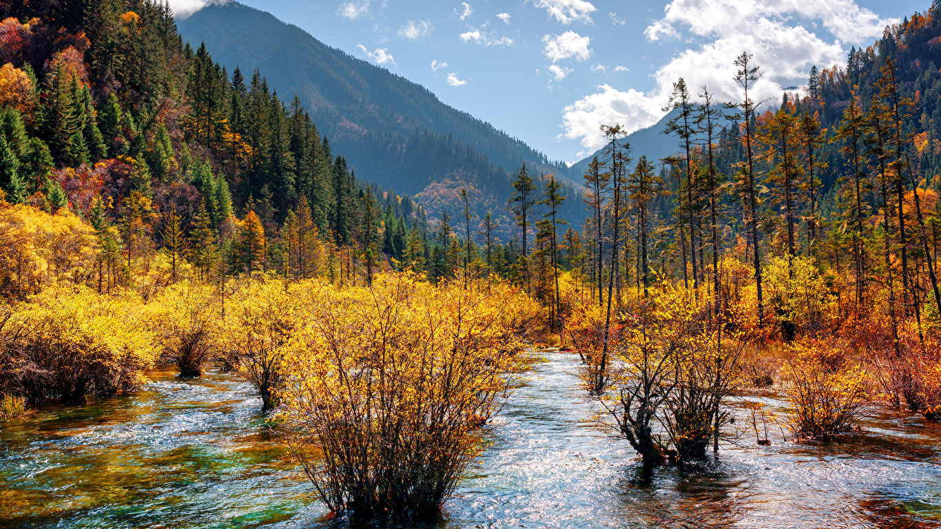 Обои для рабочего стола Цзючжайгоу парк Китай Горы осенние Природа лес Парки Пейзаж Кусты 1366x768 гора Осень парк Леса кустов