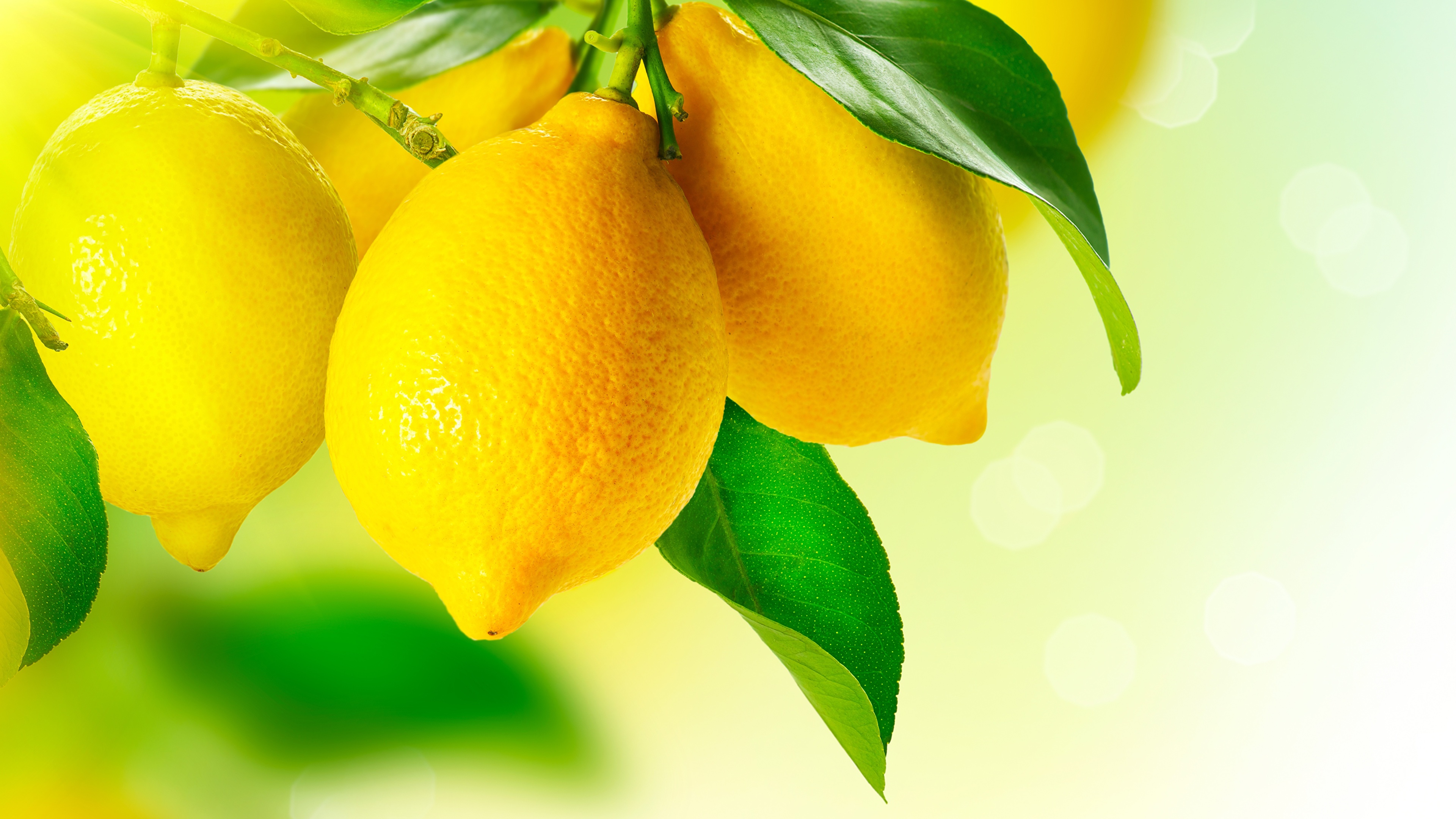 лимоны фрукты бесплатно