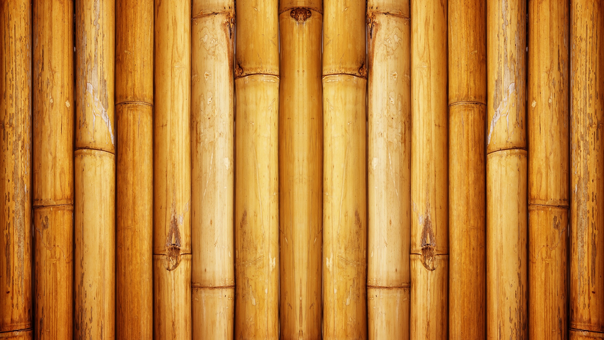 Фактура дерева бамбук