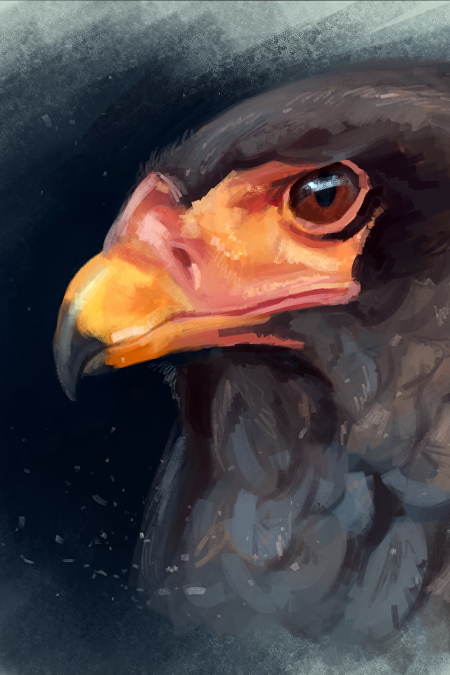 Картинки Орлы Птицы Bateleur Клюв головы животное Рисованные 640x960 для мобильного телефона орел птица Голова Животные