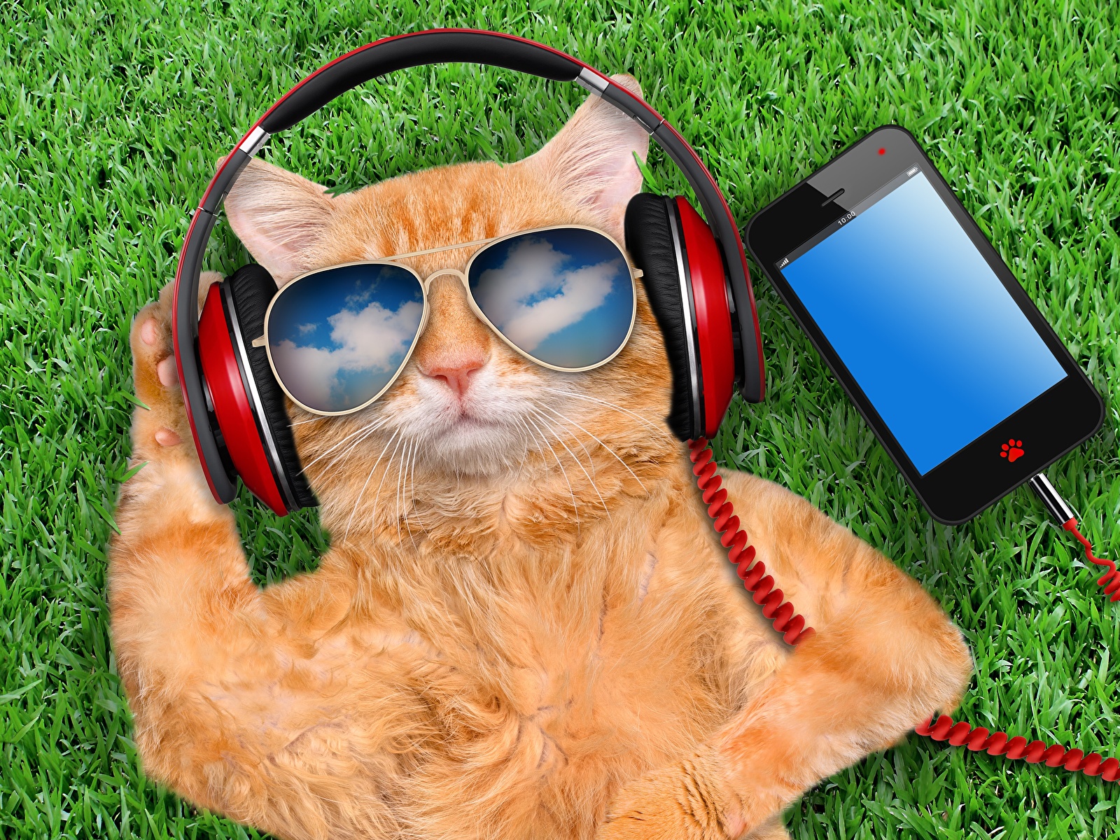 https://s1.1zoom.ru/b4649/226/Cats_Glasses_Headphones_Smartphone_Ginger_color_516065_1600x1200.jpg