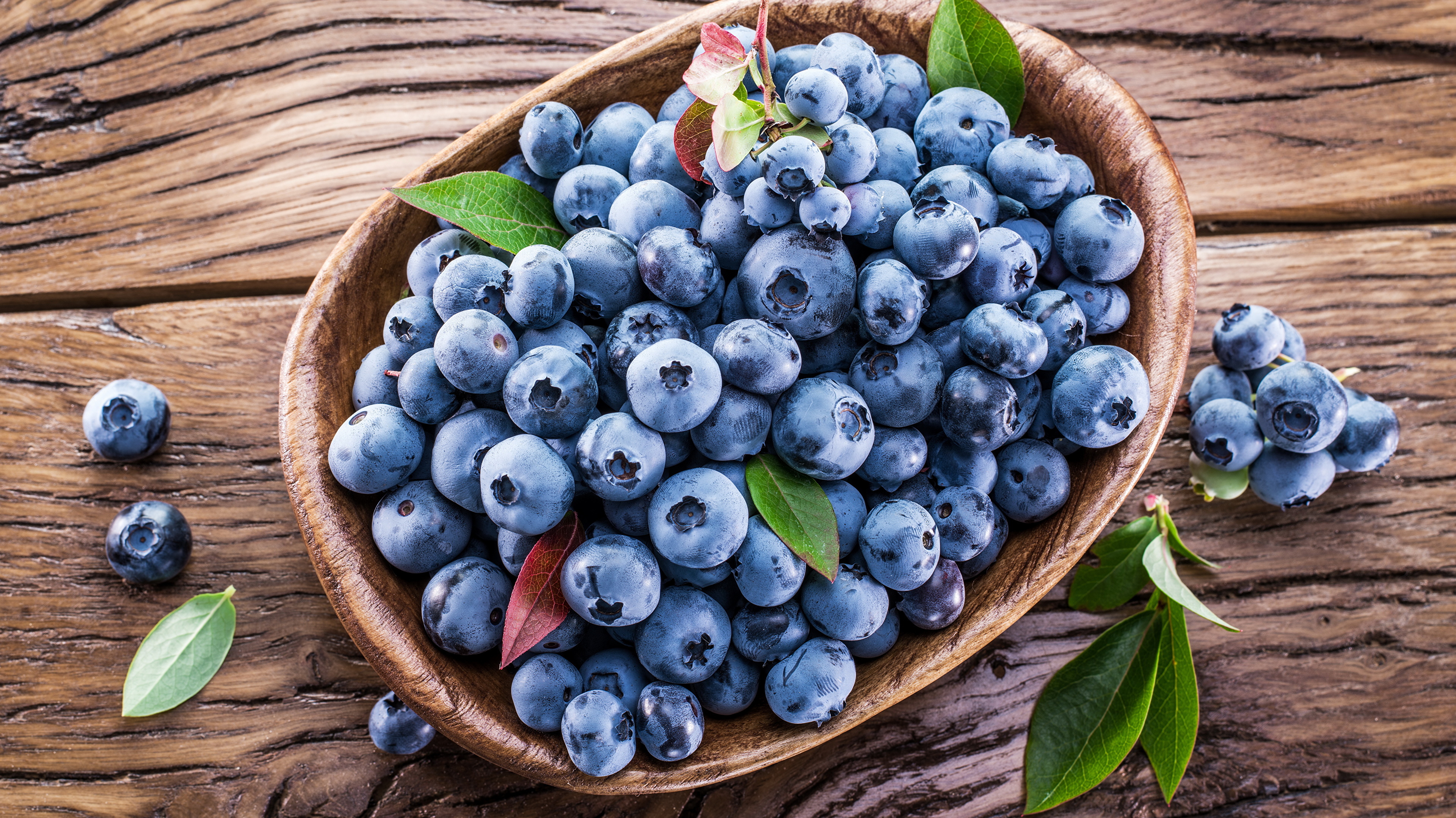 голубика ягоды тарелка blueberries berries plate без смс