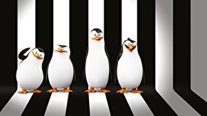 Фотография Пингвины Мадагаскар Полоски Penguins of Madagascar 3D_Графика