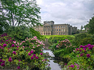 Фотография Англия Парк Здания Пруд Рододендрон Кустов Lyme Park Природа