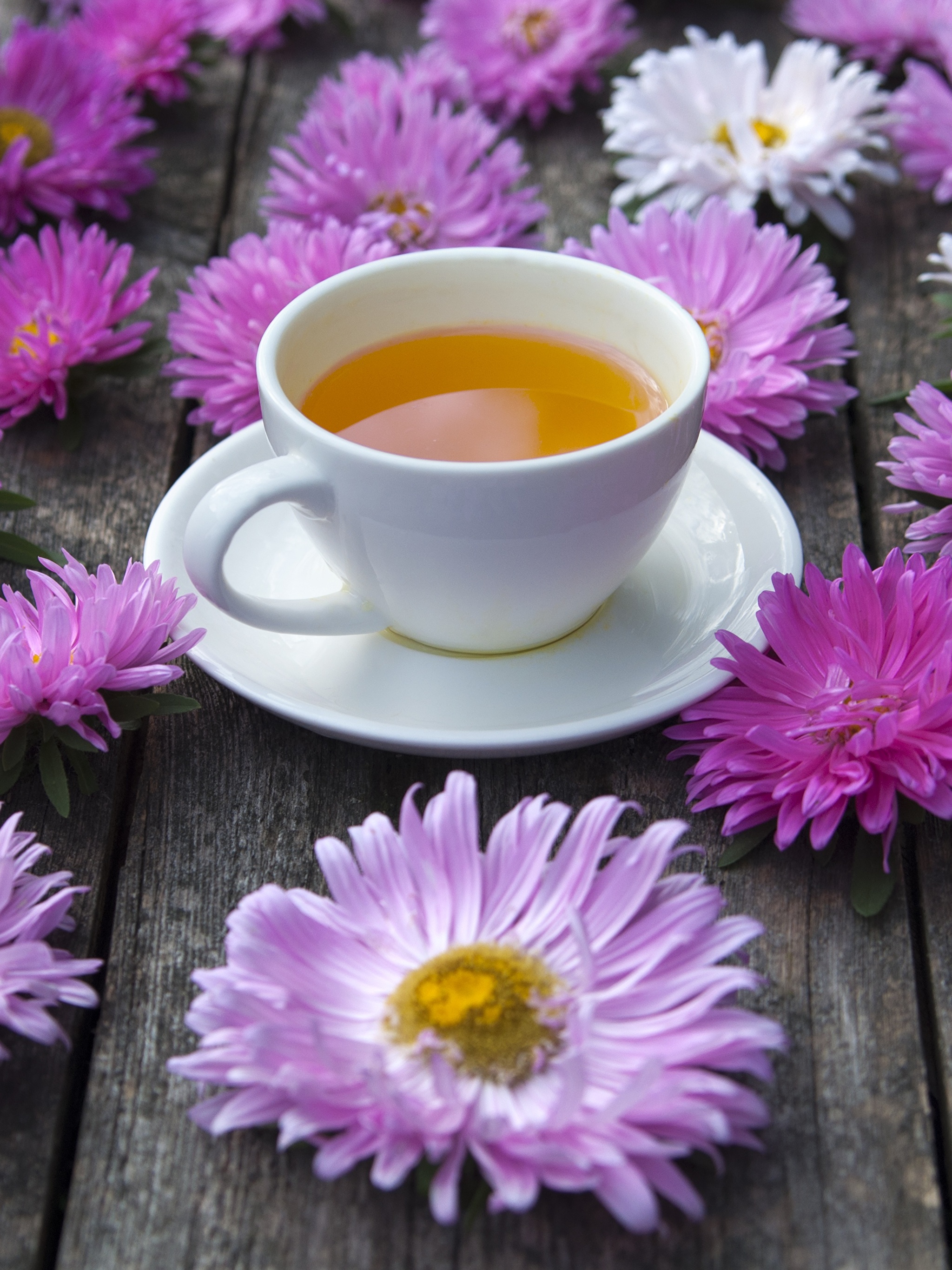 Нежное видео утреннее. Цветы в кружке. Утренние цветы. Утренний чай. Чай с цветами.