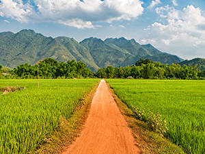 Фотография Вьетнам Гора Поля Дороги Mai Chau Природа