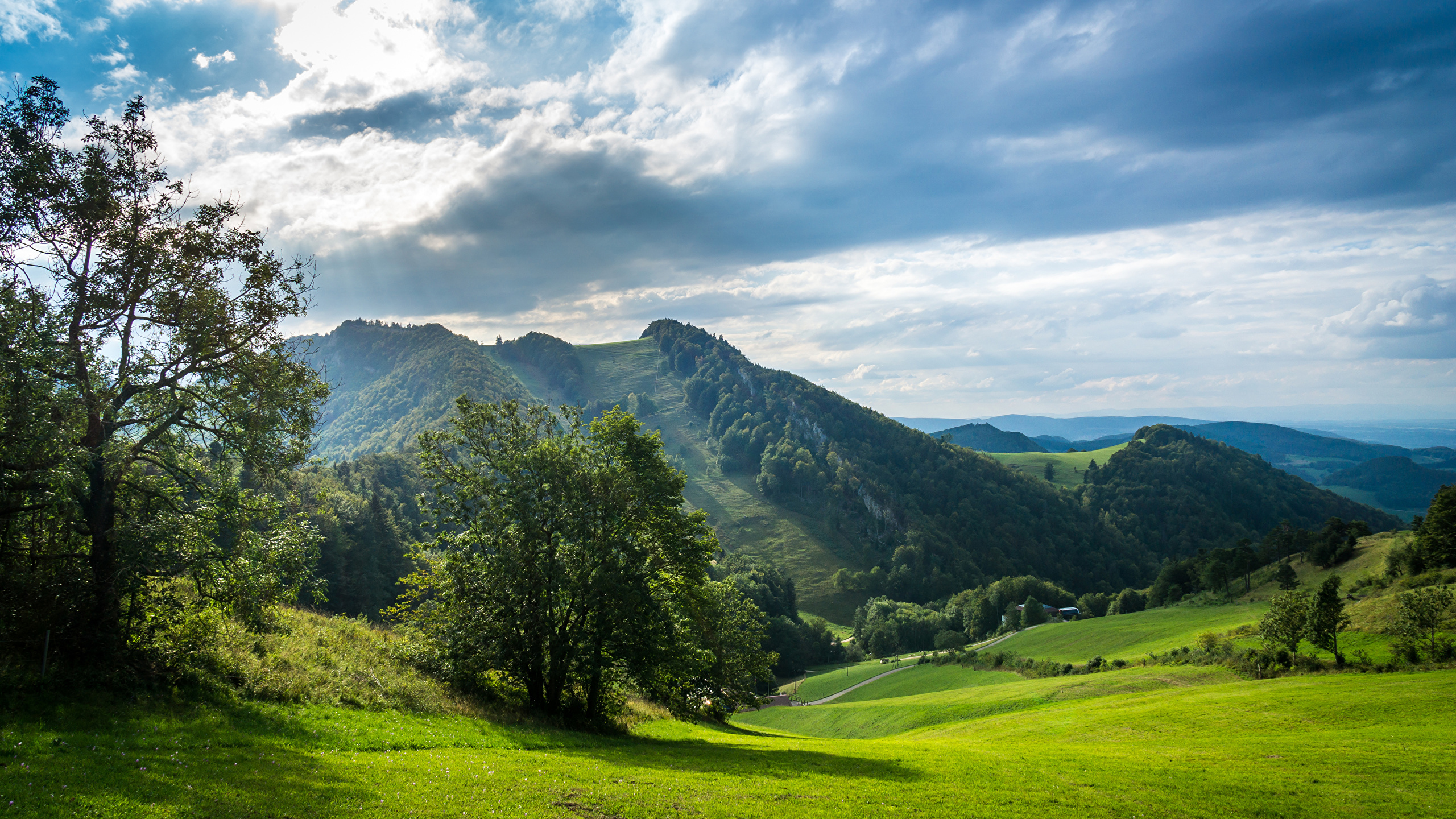 Швейцария Альпы Луга