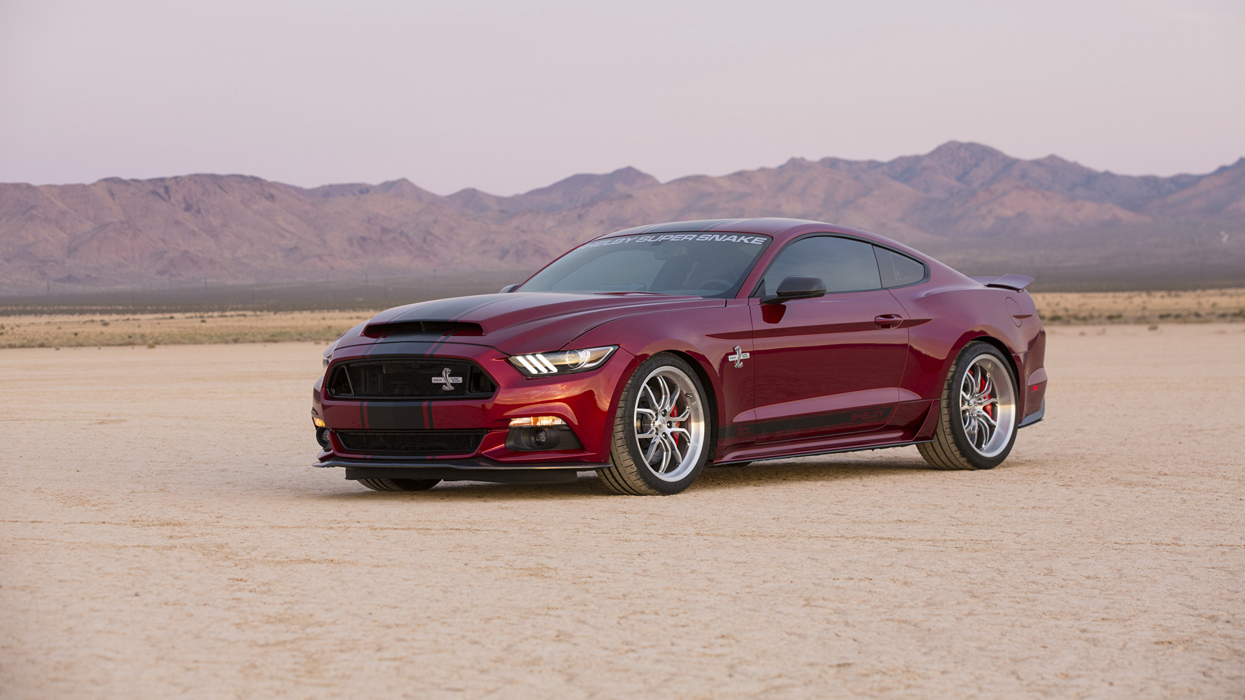 Ford Shelby, 2015, Super Snake, Mustang Бордовый Автомобили фото 2560x1440 ...