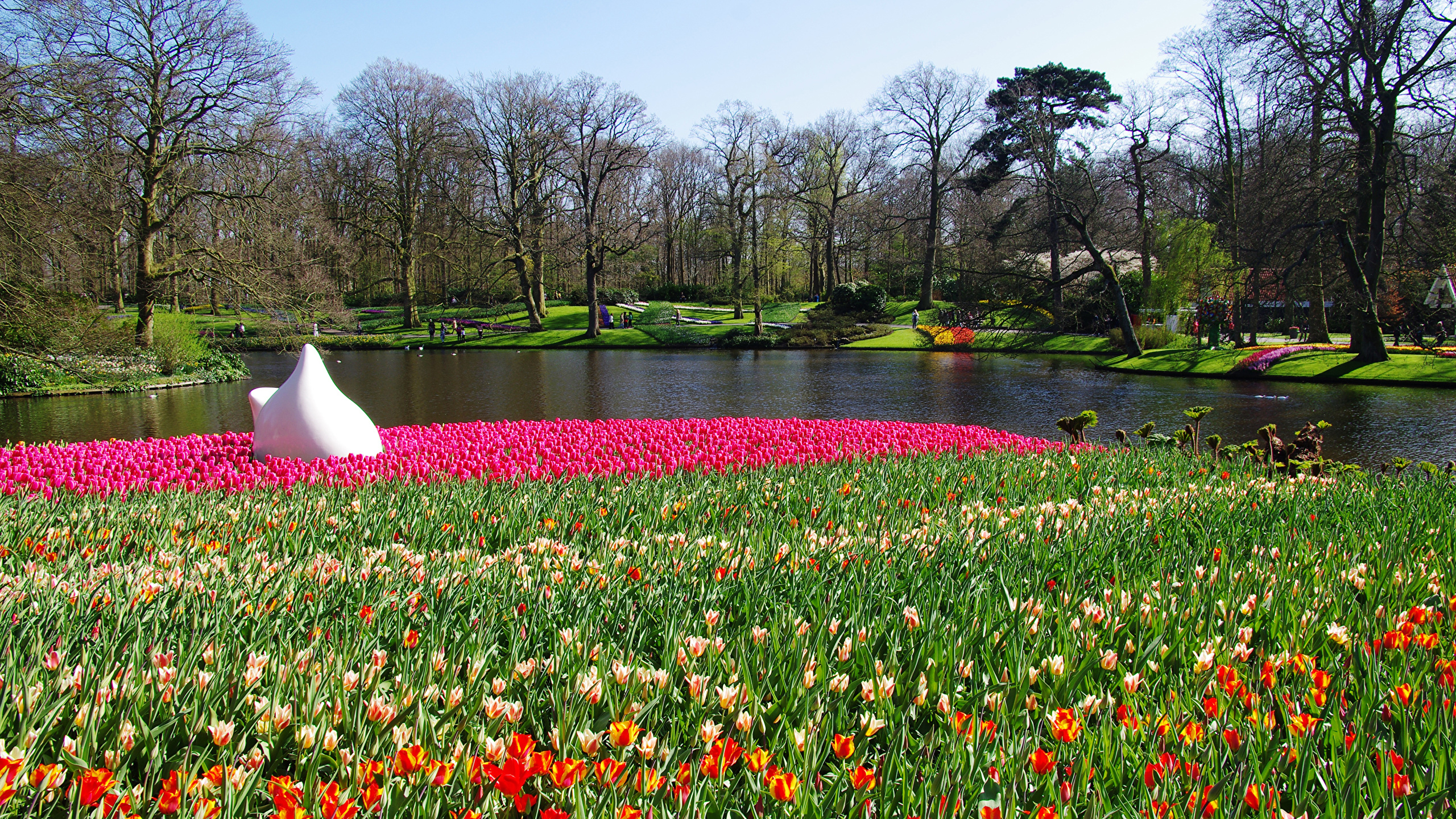 Нидерланды весенний парк Keukenhof